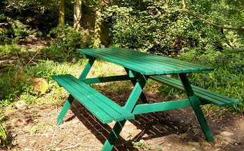 Green Bench in the woods